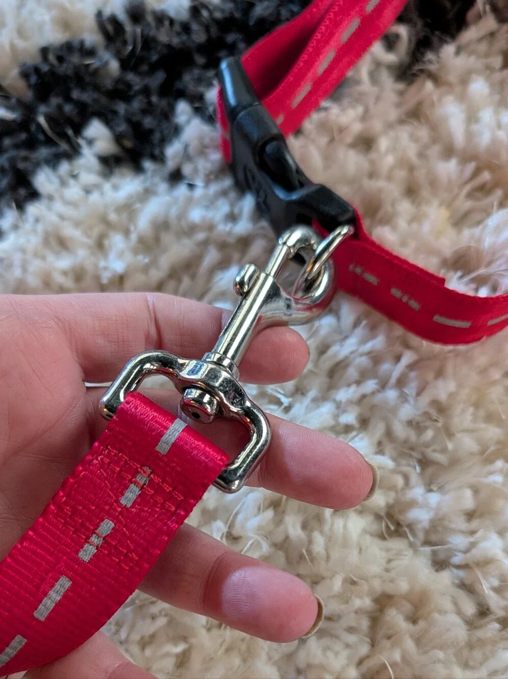 Reflective Dog Collar And Leash